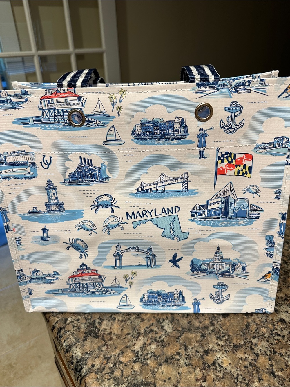 Scout Blue & White Maryland Scenic Gift Bag NWT - Picture 5 of 7
